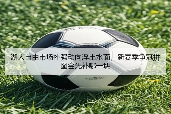 湖人自由市场补强动向浮出水面，新赛季争冠拼图会先补哪一块